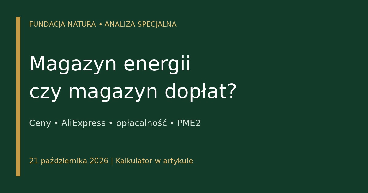 Magazyn energii czy magazyn dopłat — analiza Fundacji Natura